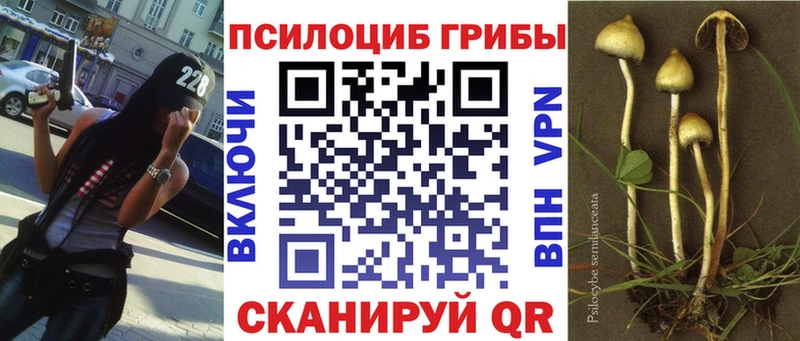 Галлюциногенные грибы ЛСД Сокол
